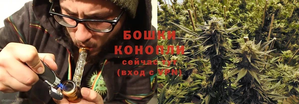 прущие крисы Верея