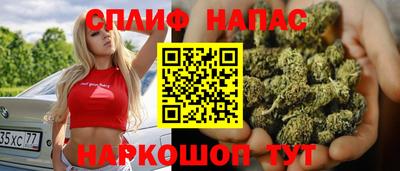 сатива Конаково