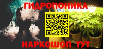 ПСИЛОЦИБИНОВЫЕ ГРИБЫ Коммунар