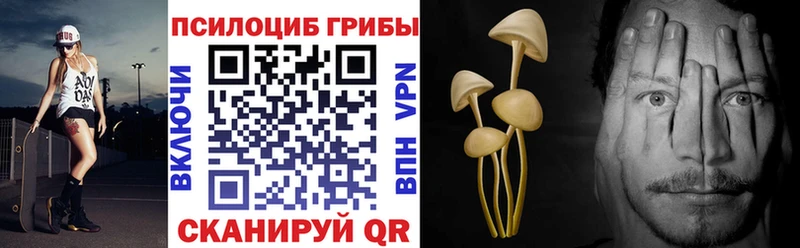 Галлюциногенные грибы GOLDEN TEACHER  KRAKEN зеркало  Наро-Фоминск 