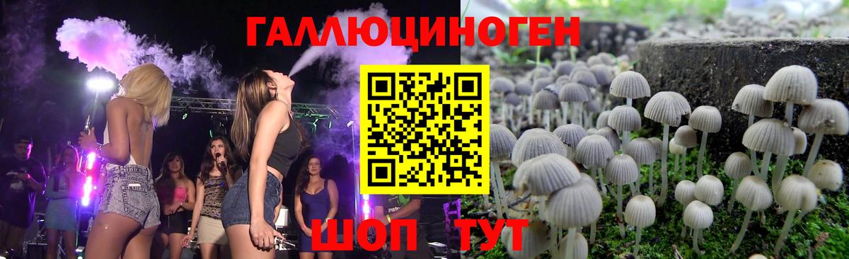 Галлюциногенные грибы Psilocybine cubensis Наро-Фоминск