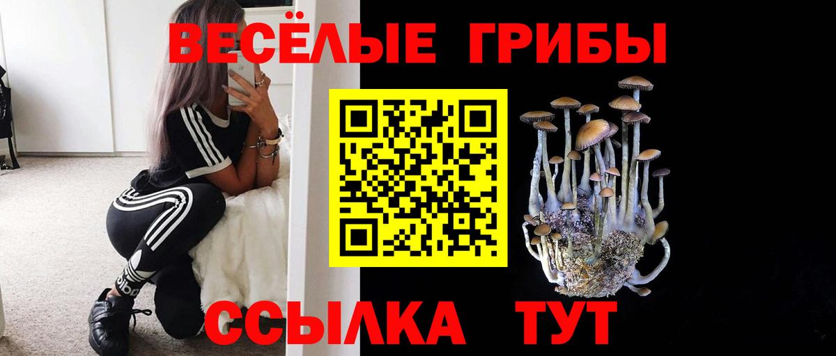 Псилоцибиновые грибы ЛСД  Галлюциногенные грибы Magic Shrooms  Наро-Фоминск  Вход с VPN 